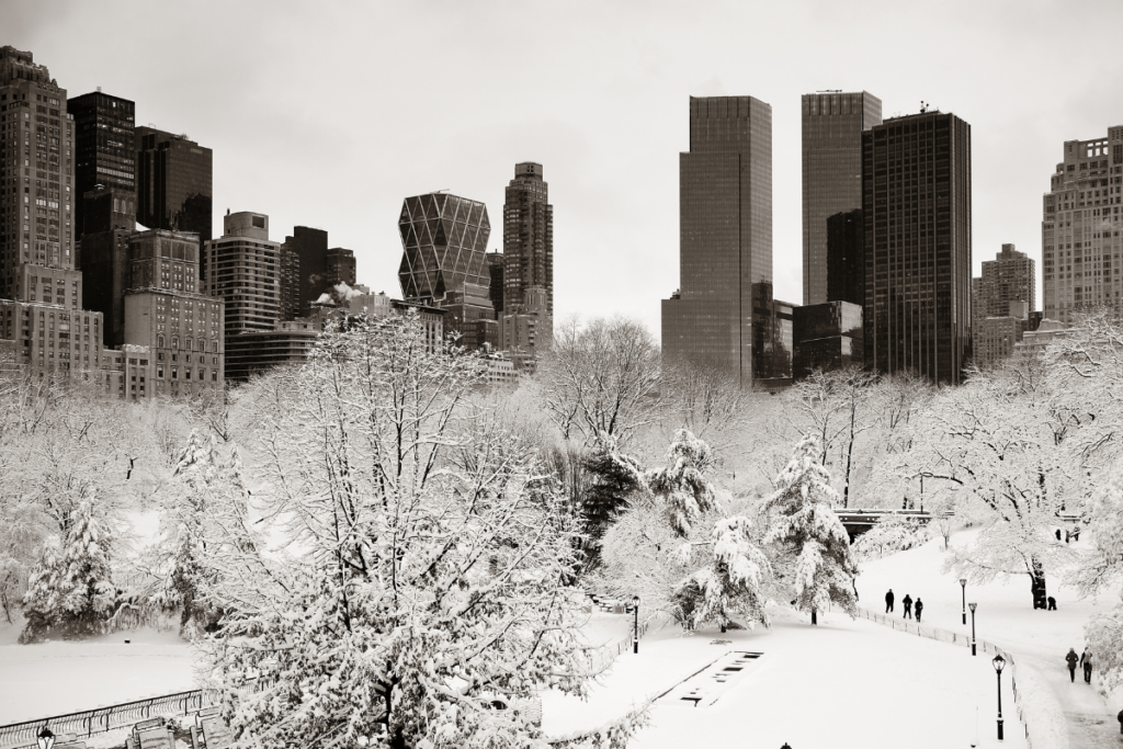 Central Park in the snow, with city skyline in background